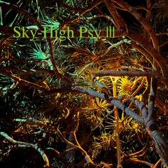 Sky-High Psy 3 (25.11.2023)