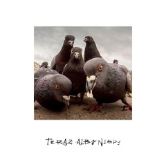 NAGRODA NOBLA (SKIT)