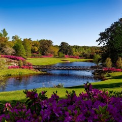 In The Garden - English Christian Hymn Songs