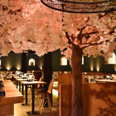 Live DJ Sett @ Sumo Stavanger -  Mixed By Stian Nag & Ronny Bøe