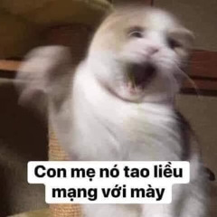 ÉP DUYÊN  LONG NÓN LÁ X MASEW_Tạ hiền