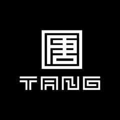 徐佳莹 - 身骑白马（TANG唐 REMIX）