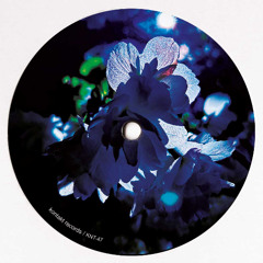 A1___Matt Thibedeau - Residual Noise