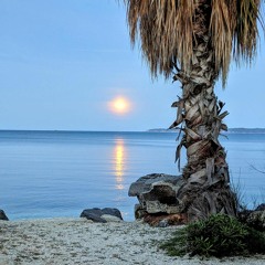 chilling on the beach