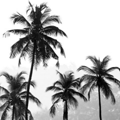 LARRY JUNE - ORGANIC FATHERHOOD (WOOD REMIX)