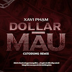 DOLLAR MÁU - XAVI PHẠM ( CUTO REMIX )