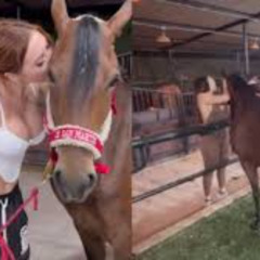 Full++ aida victoria merlano horse video aida victoria merlano caballo