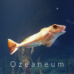 Ozeaneum II