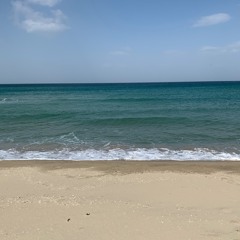 검정치마(The Black Skirts - i like watching you go [COVER]