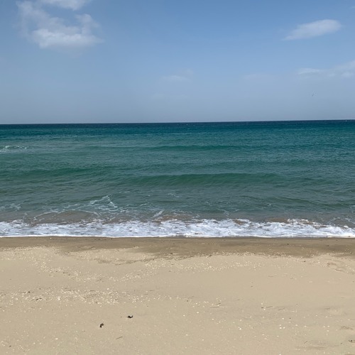 검정치마(The Black Skirts - i like watching you go [COVER]