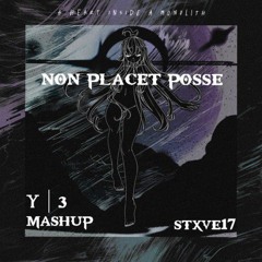 Non Placet Posse x Y-3