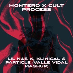 Montero X Cult Process (VALLE VIDAL Mashup) - Lil Nas X vs. Klinical vs. Particle