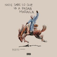 Perro Negro Bad Bunny y Feid con otra vibes