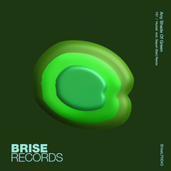 PREMIERE - Any Shade Of Green - Humid (Original Mix) [Brise]