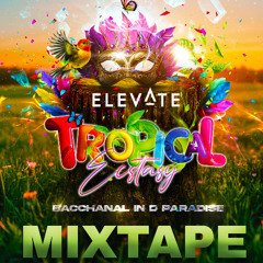 ELEVATE MIXTAPE 2025. Mixed By DJ Q