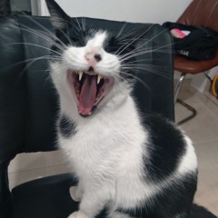 No name, no nada.mp3