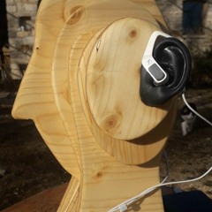 10’ de Rossignol(s) juste avant le lever du jour