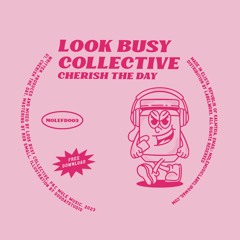 PREMIERE: Look Busy Collective - Cherish The Day (Paradise Mix) [Mole Music]