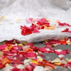Колін-Пелюстки троянд 🌹