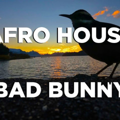 AFRO HOUSE BAD BUNNY - DtMF, DÁKITI, Yonaguni | 2025 | Live Mix Set | Alu Bermúdez