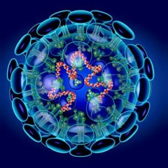 Okapi - Virus