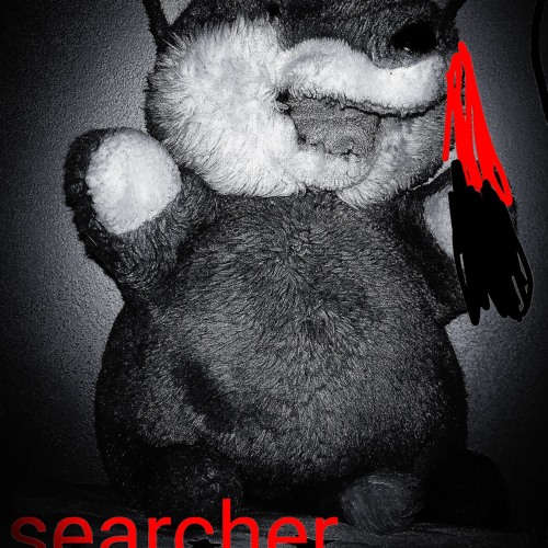 searcher