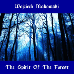 Makowski Solo - STRAIT IS THE GATE AND NARROW THE ROAD (Melodic Piano Song)