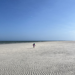 Echo (Incubus - Piano Instrumental)