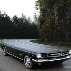 trucker dub illusion