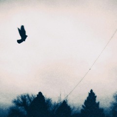 Before the Feather Falls