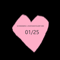 SCHNEEBERG´S ENTSPANNYOUARY MIX 01/25