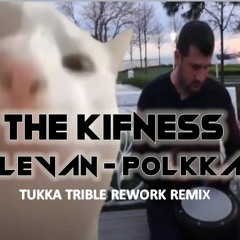 1  THE KIFNESS LEVAN POLKA -TUKKA TRIBLE REWORK REMIX