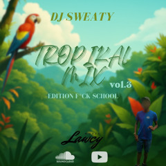 DJ SWEATY - 🌴 Tropikal Mix Vol.3 🔥