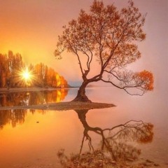 Passacaille (Première suite de pièces, op.4, 1712)