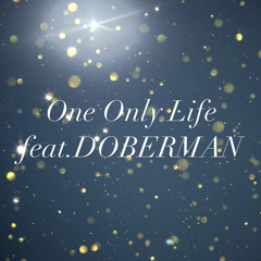 One Only Life feat.DOBERMAN