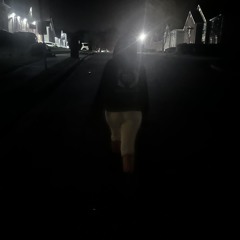 scenehostwerktodis prod.Danny x Marni