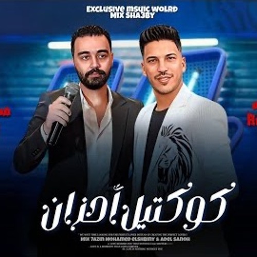 ميكس حزين - محمد الشبيني - عادل صانوه - 2024