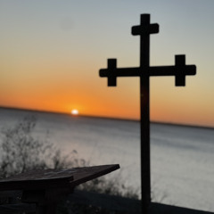 St. Mary & St. Moses Abbey- Veneration Vine 02/03/24