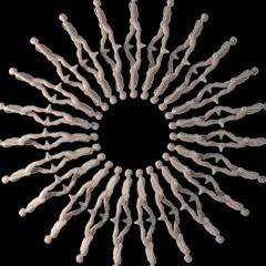 DIAH - Cover - No Vocal