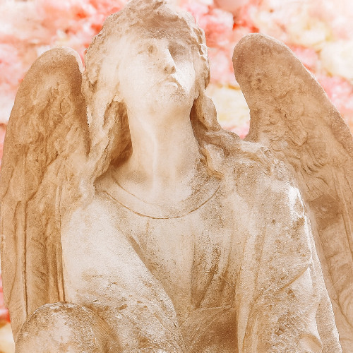 Flower Petals (prod. waynn)