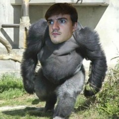 Silverback (Feat. DOR$CH)