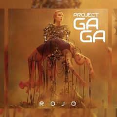 Project Gaga - Dj Rojo