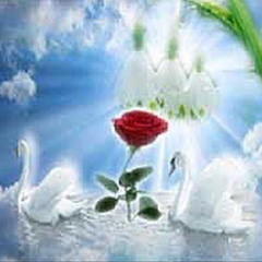 Every Rose has its Thorns