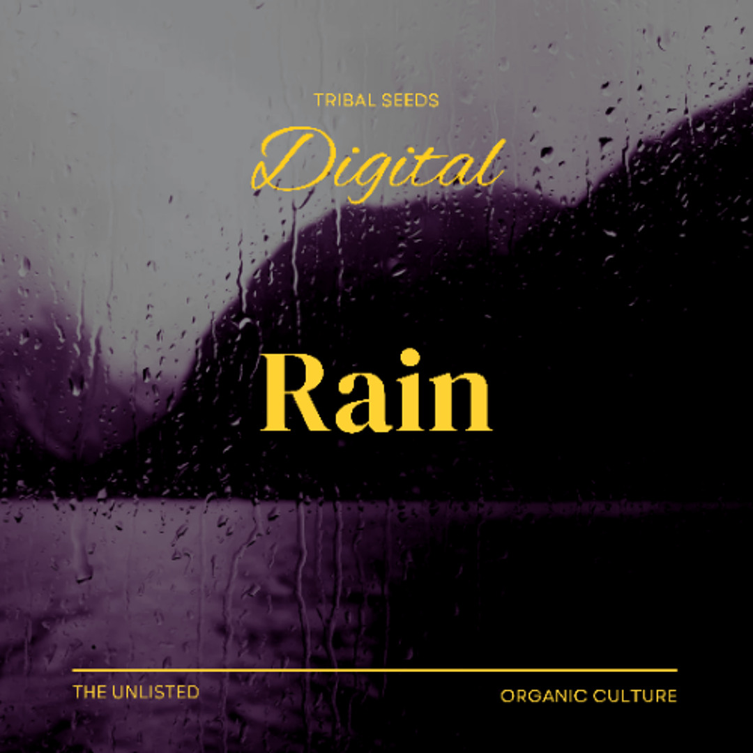 Stream Digital Rain by Wigglez | Listen online for free on SoundCloud