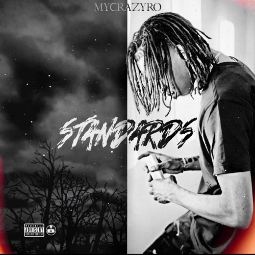 MyCrazyRo  - “Standards”