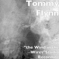 "The Wind In the Wires"