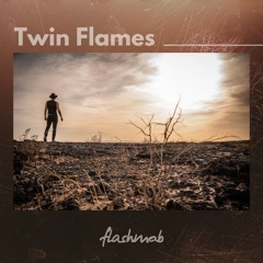 Flashmob, Laila Walker - Twin Flames (Original Mix)
