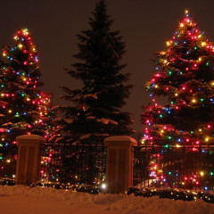 Wonderland. @Sae! (Euro Anthem)