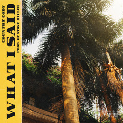 Country Cody-What I Said (Prod. By Stone Miller)