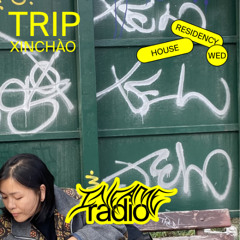TRIP 003